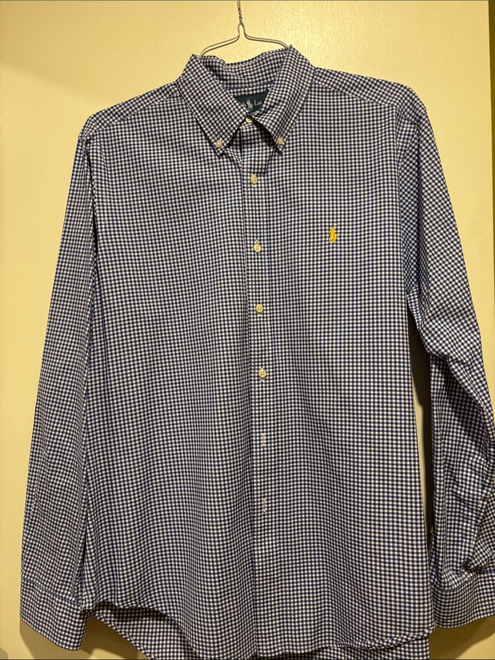 Ralph Lauren Blue Gingham Long-Sleeve Button-Down Shirt